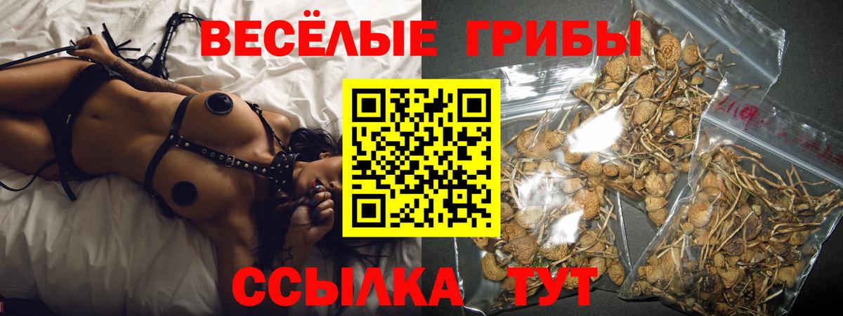 купить   Вход с VPN  Нарткала  Галлюциногенные грибы мицелий 