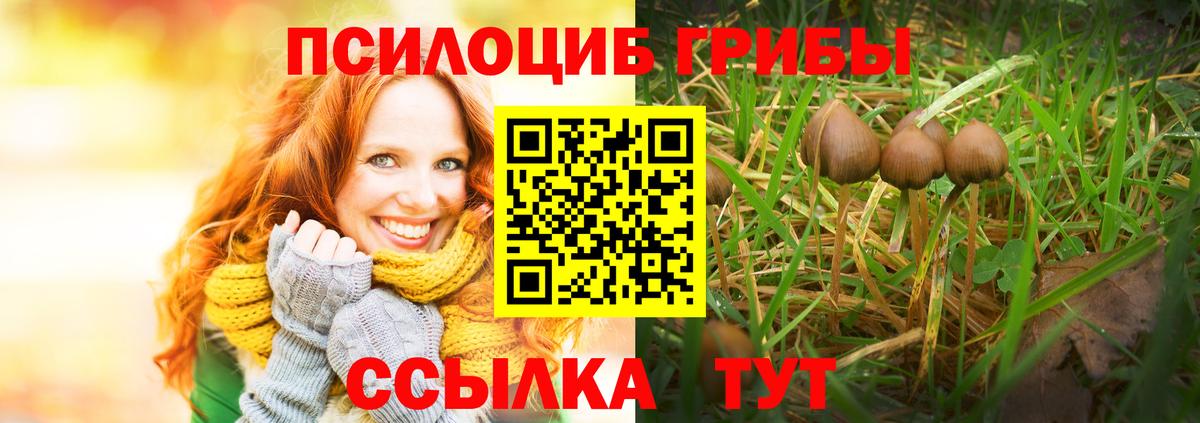 Галлюциногенные грибы прущие грибы Нарткала